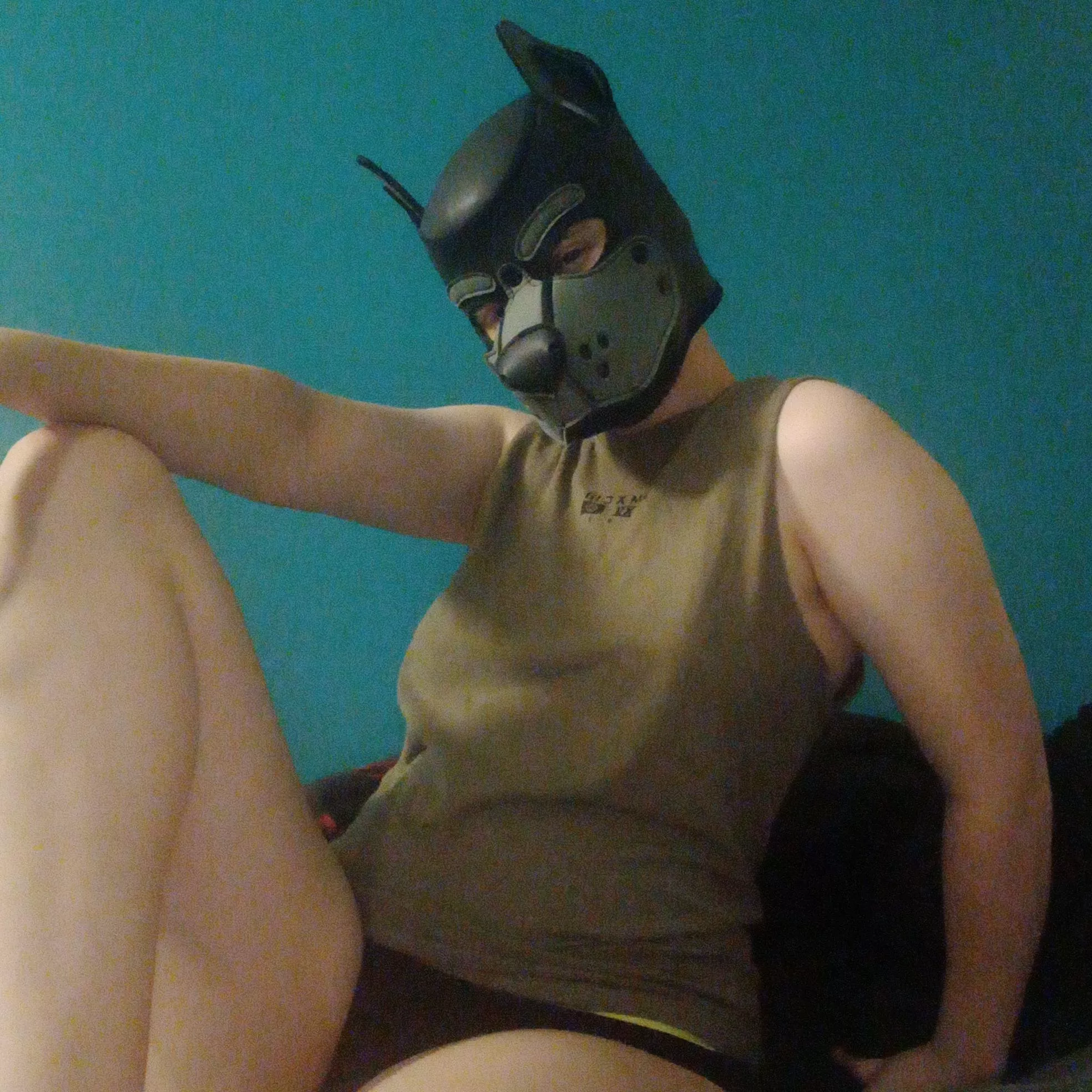 Hey cuties x new here and new to reddit! thought I'd finally test it out! posted by PupTed129