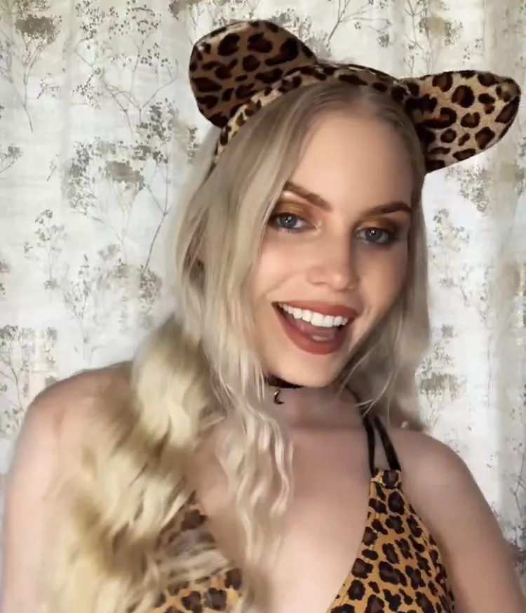 Hey ! Kitty wants to play posted by ittybityprettykitty