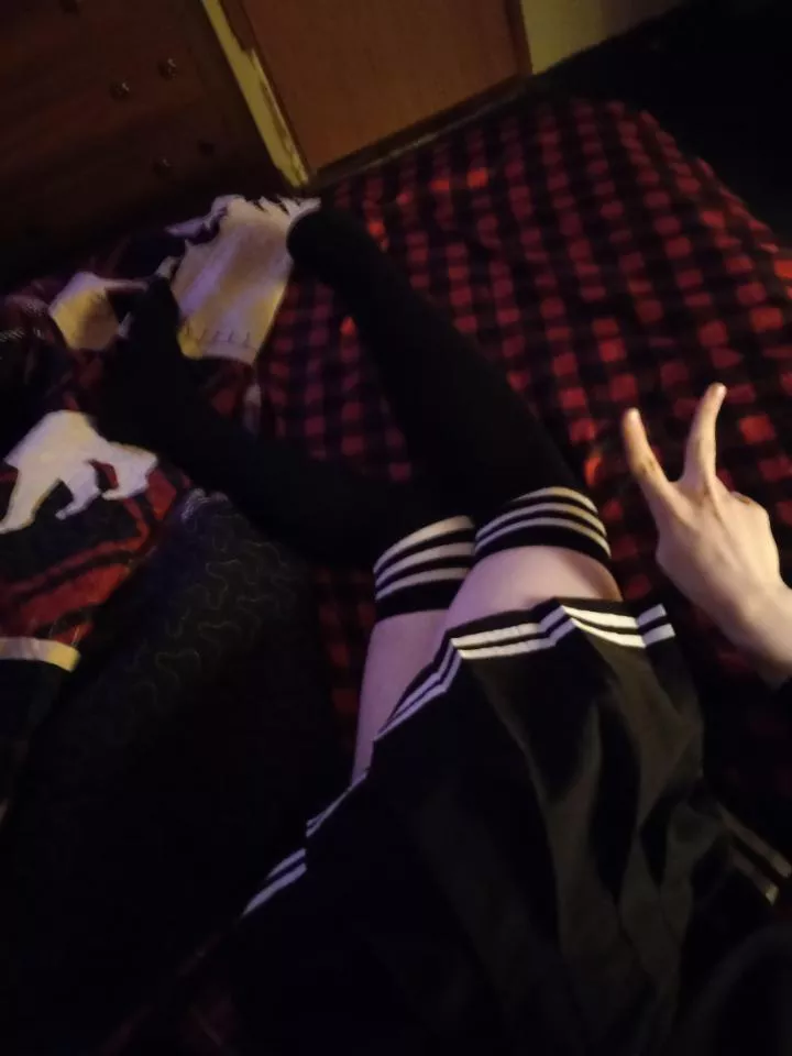 hey look it's the same stockings everyone has! Now cuddle me in them. posted by CamCattOfficial