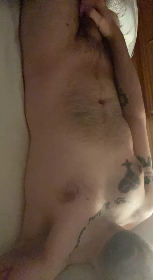 Hey otters! by alariz83