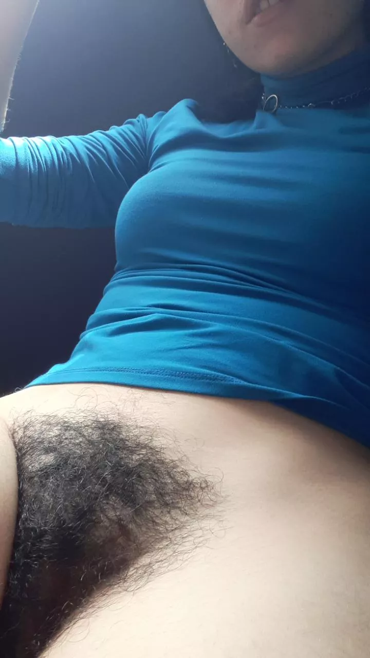 Hey, what do you think about my bush? posted by vivibush