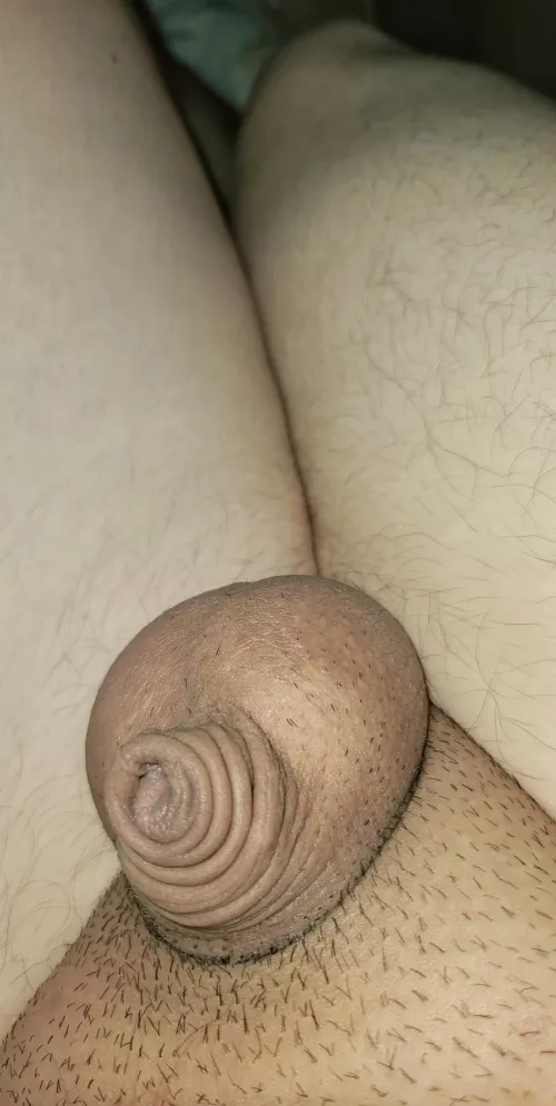 heya [29] by Dull_Ad_9524