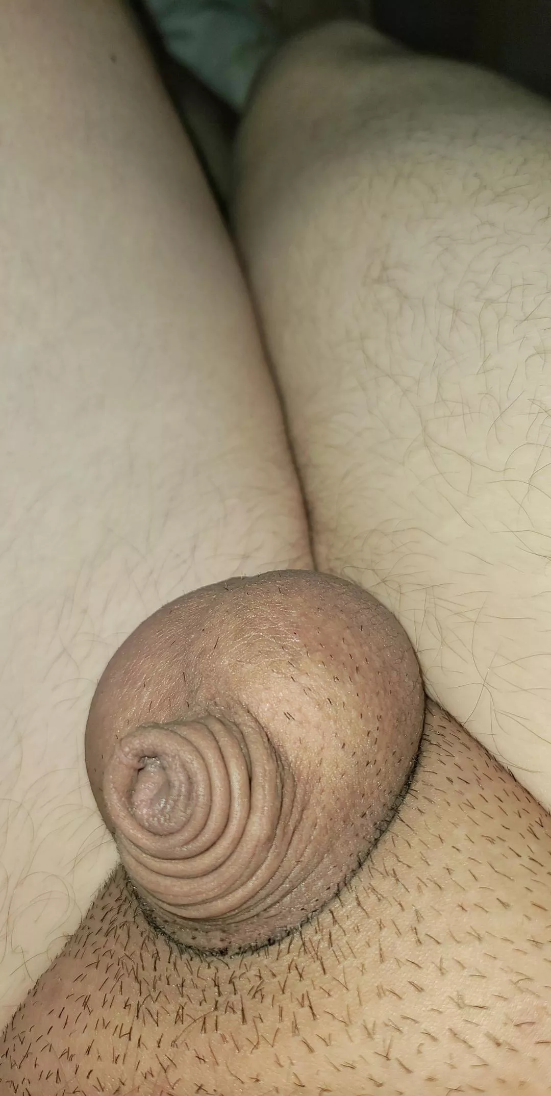 heya [29] posted by Dull_Ad_9524