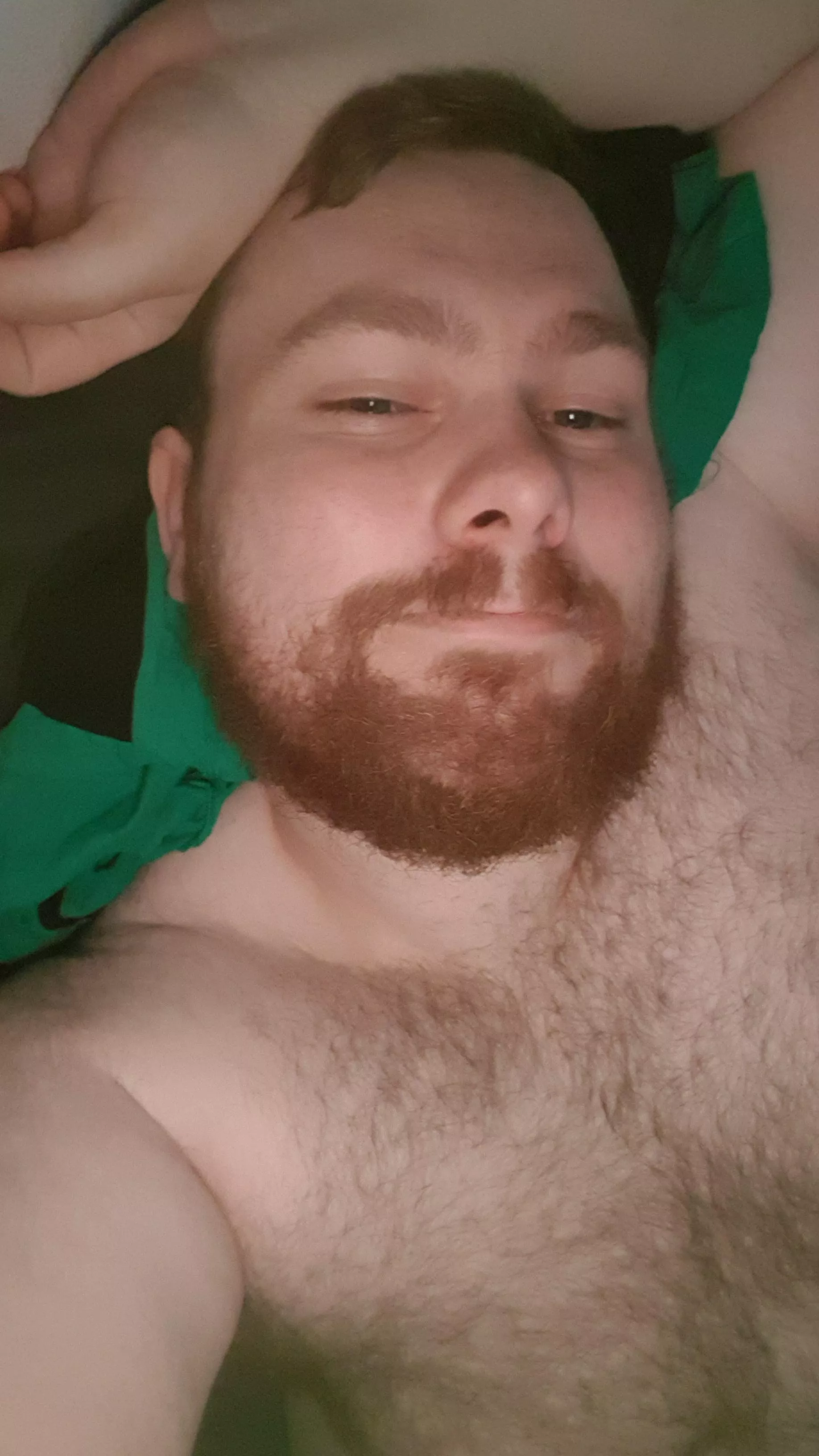 Heyo posted by AroOctoBear