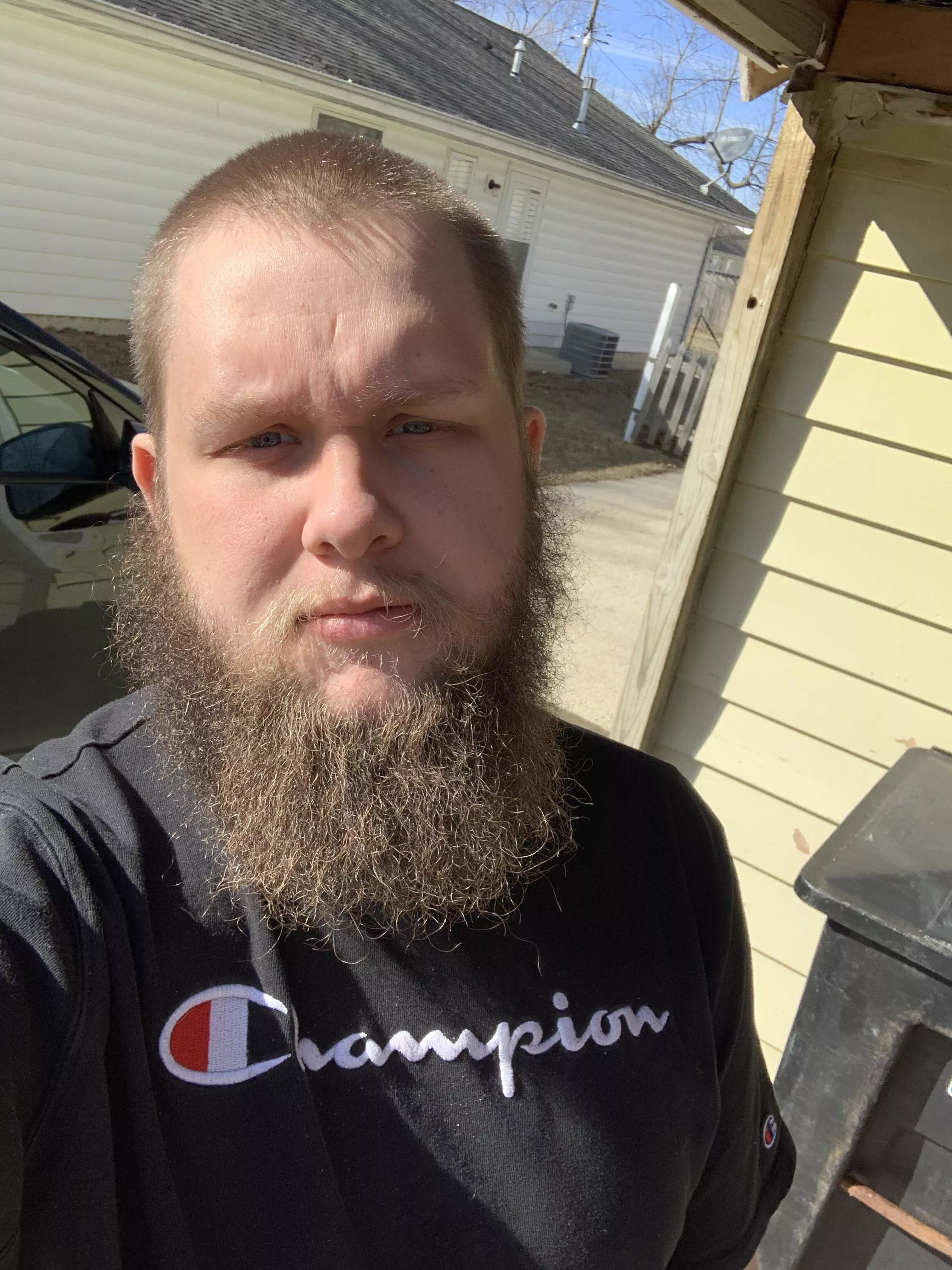 Hi bears posted by Mashedtaters-