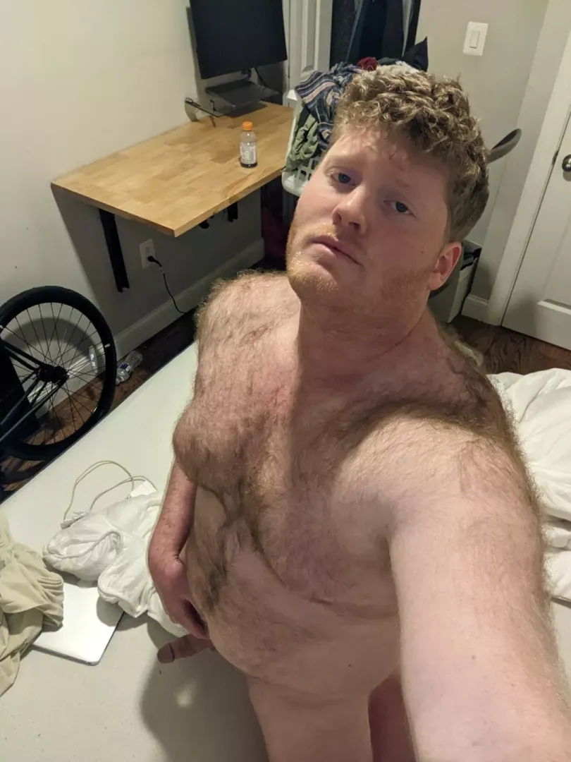 hi! down to chat! Am straight but appreciate all the love regardless posted by ParkingHuman
