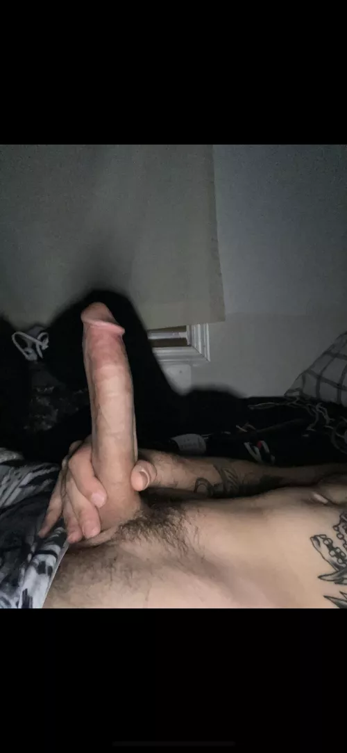 Hi from my bwc by horriblejoseph_