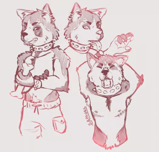 Hi guys! I'm a newbie to furry drawings... So could someone rate my drawing? I would really appreciate it! (not a raccoon over there, but i like them) -🦝 by yourAngel_o