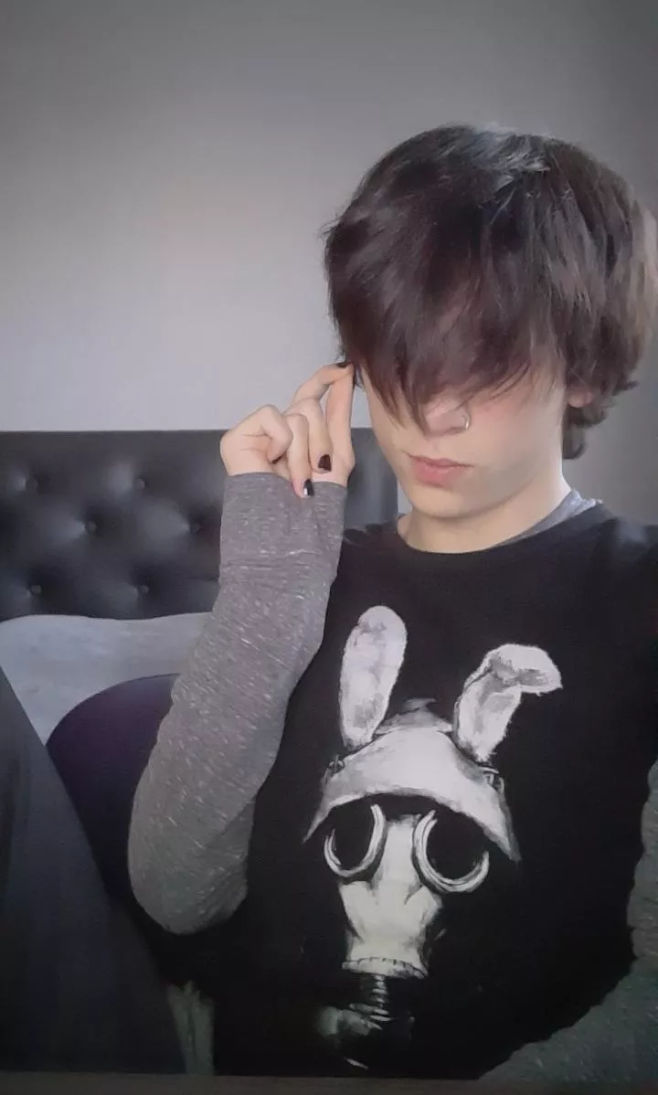 Hi 🐰 posted by dasasdasdsa