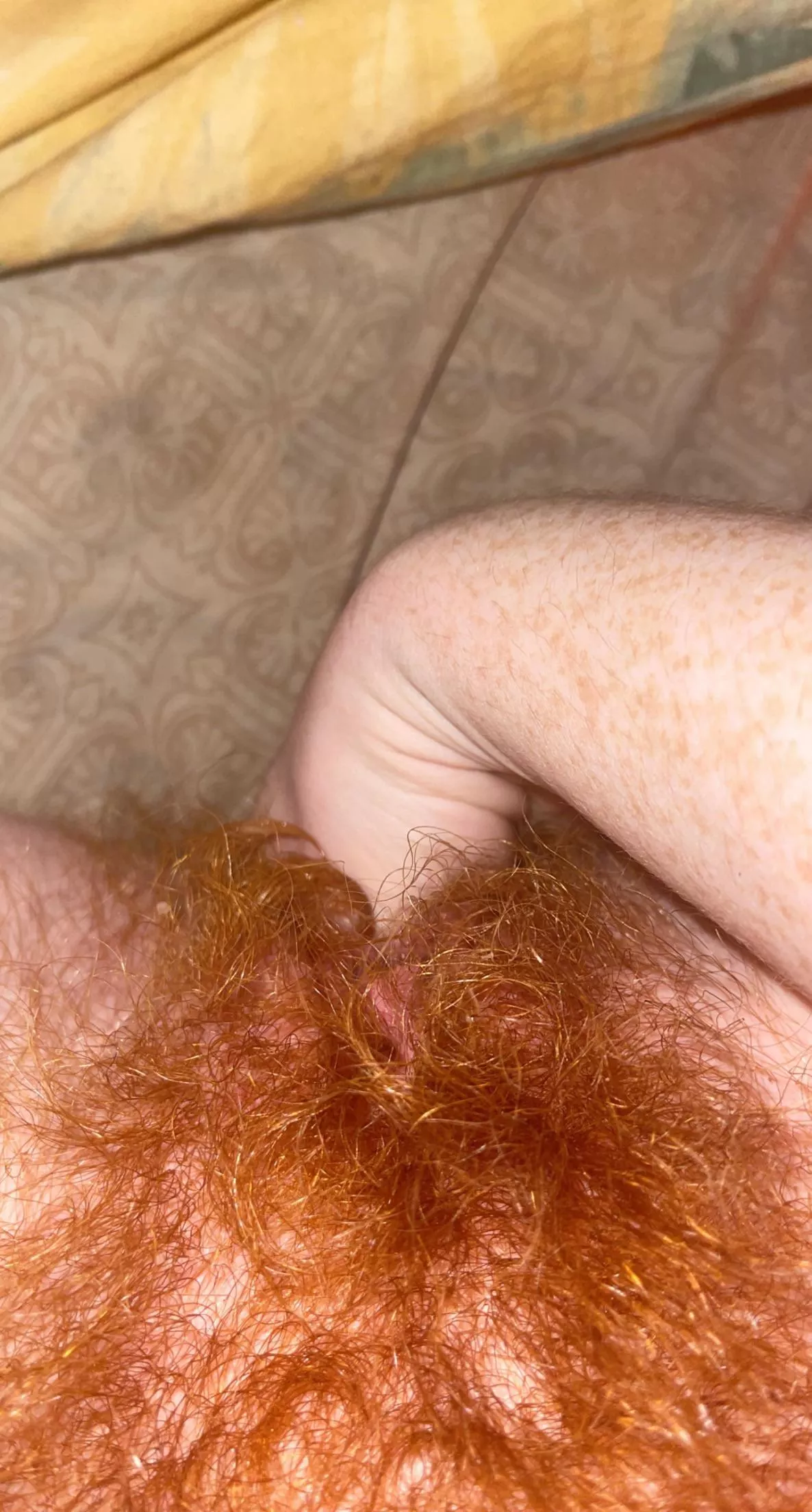 Hi my name is Brook, and I have a giant bush 🥺 posted by brooksux