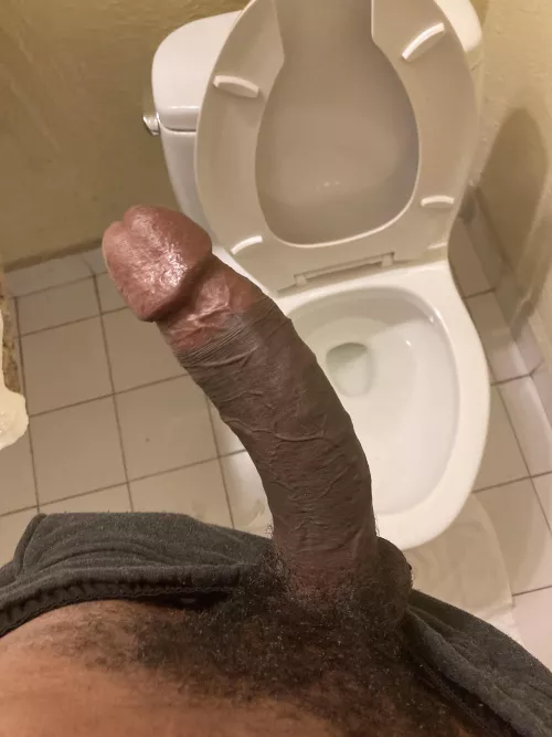 Hi South Florida by OkAdministration634