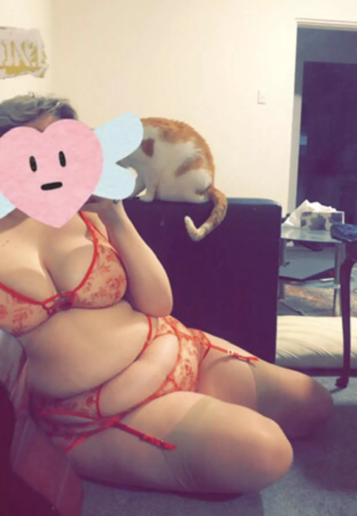 Hi there ^•^ posted by KittySTT