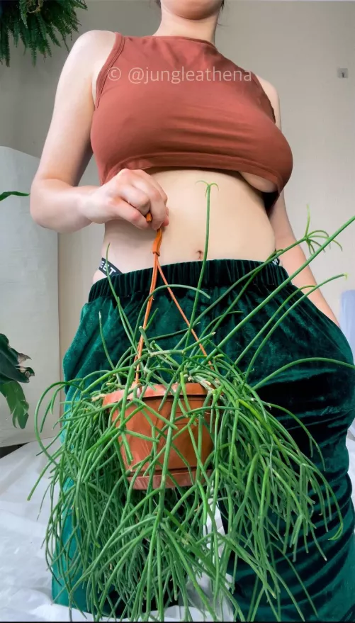 Hi there :) by jungleathena