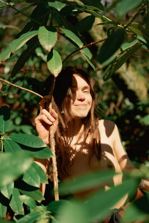 hid in the boxwood thickets by Beauty_Bird