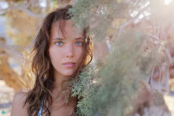 Hidden in nature posted by Franske321