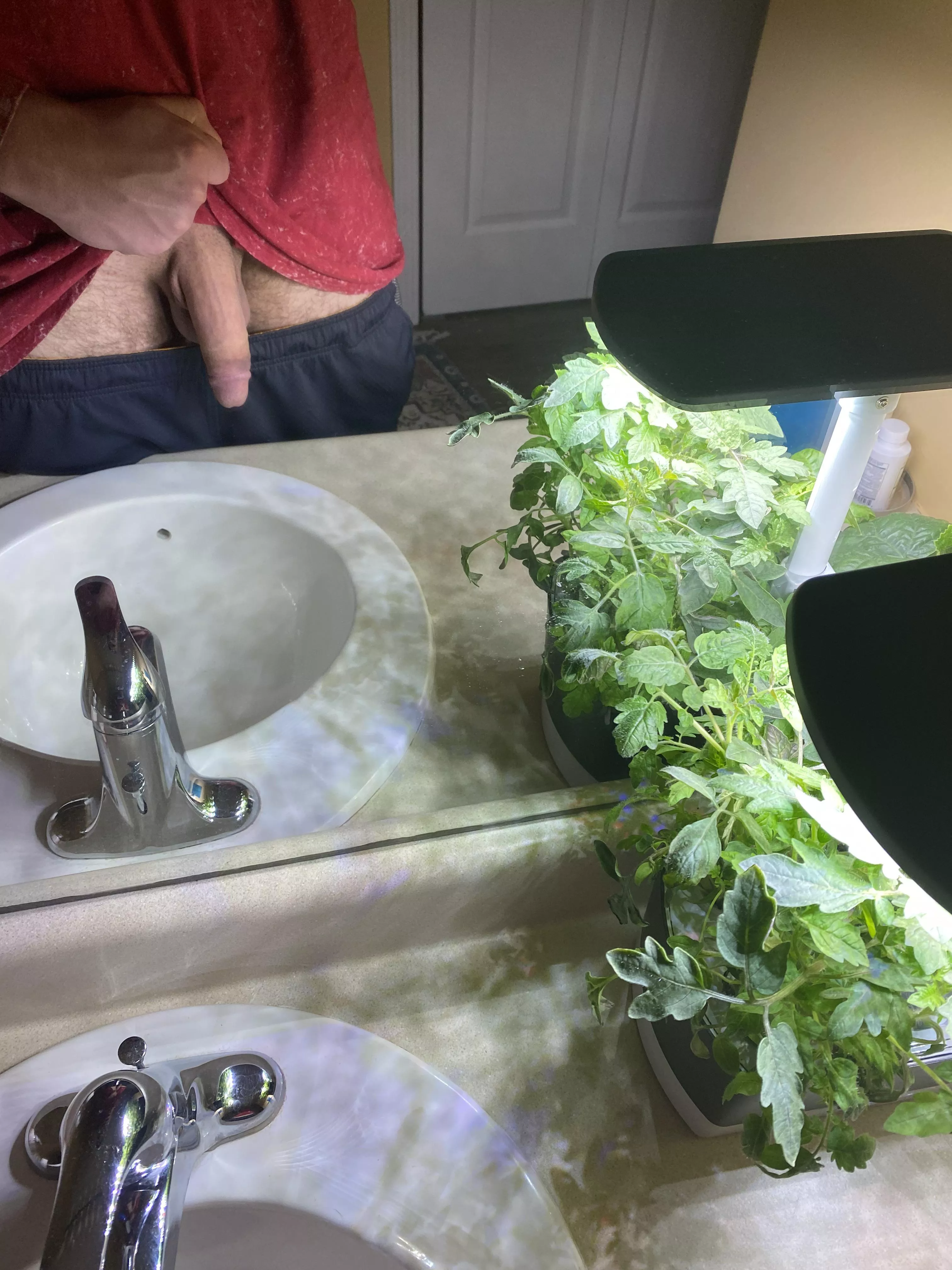 Hiding behind the plants. posted by Thegentlejiant345