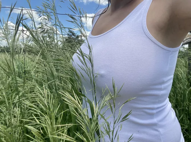 Hiding in the field. by Emmerson-Reid