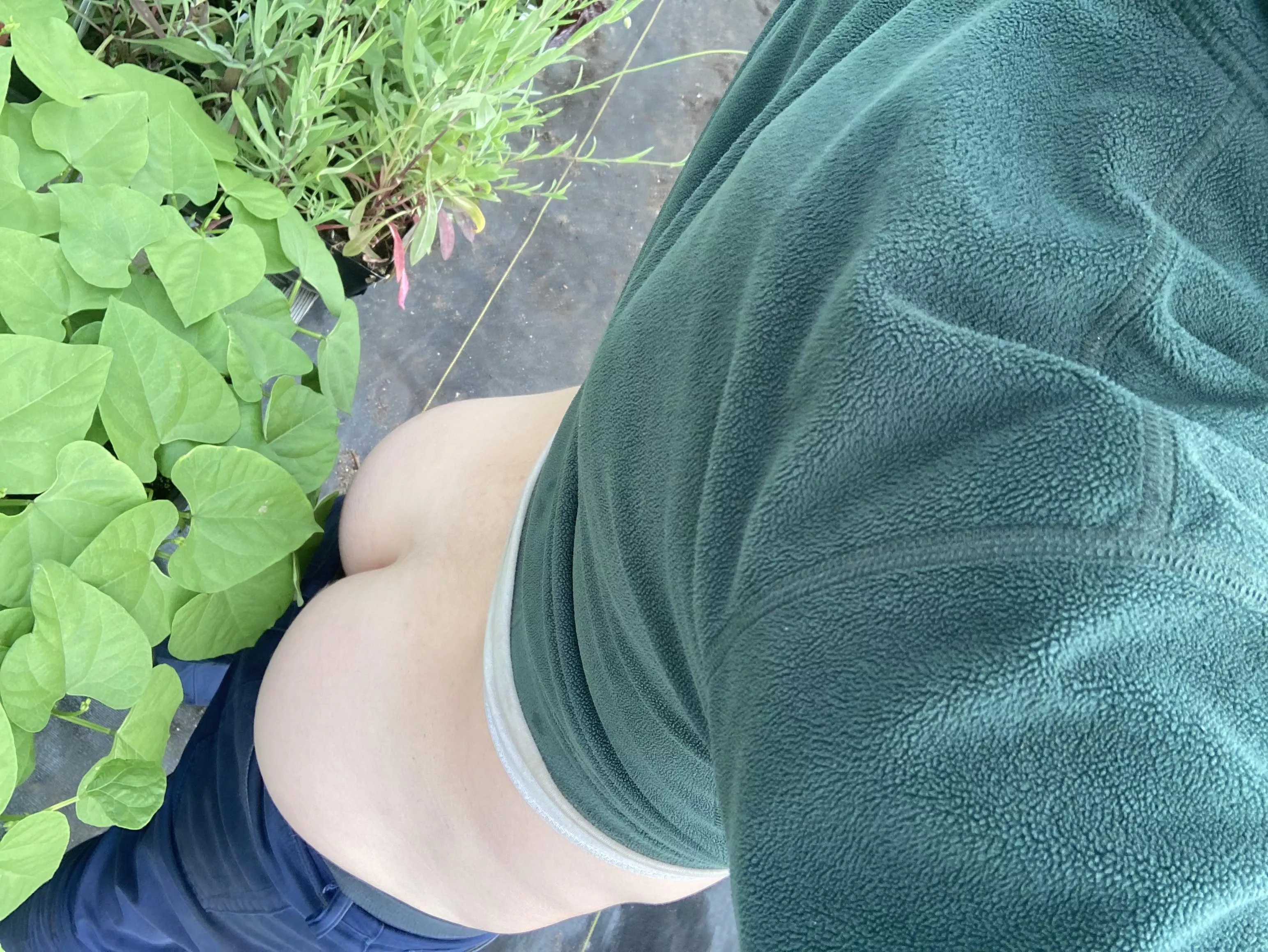 Hiding in the plants posted by farmgay92