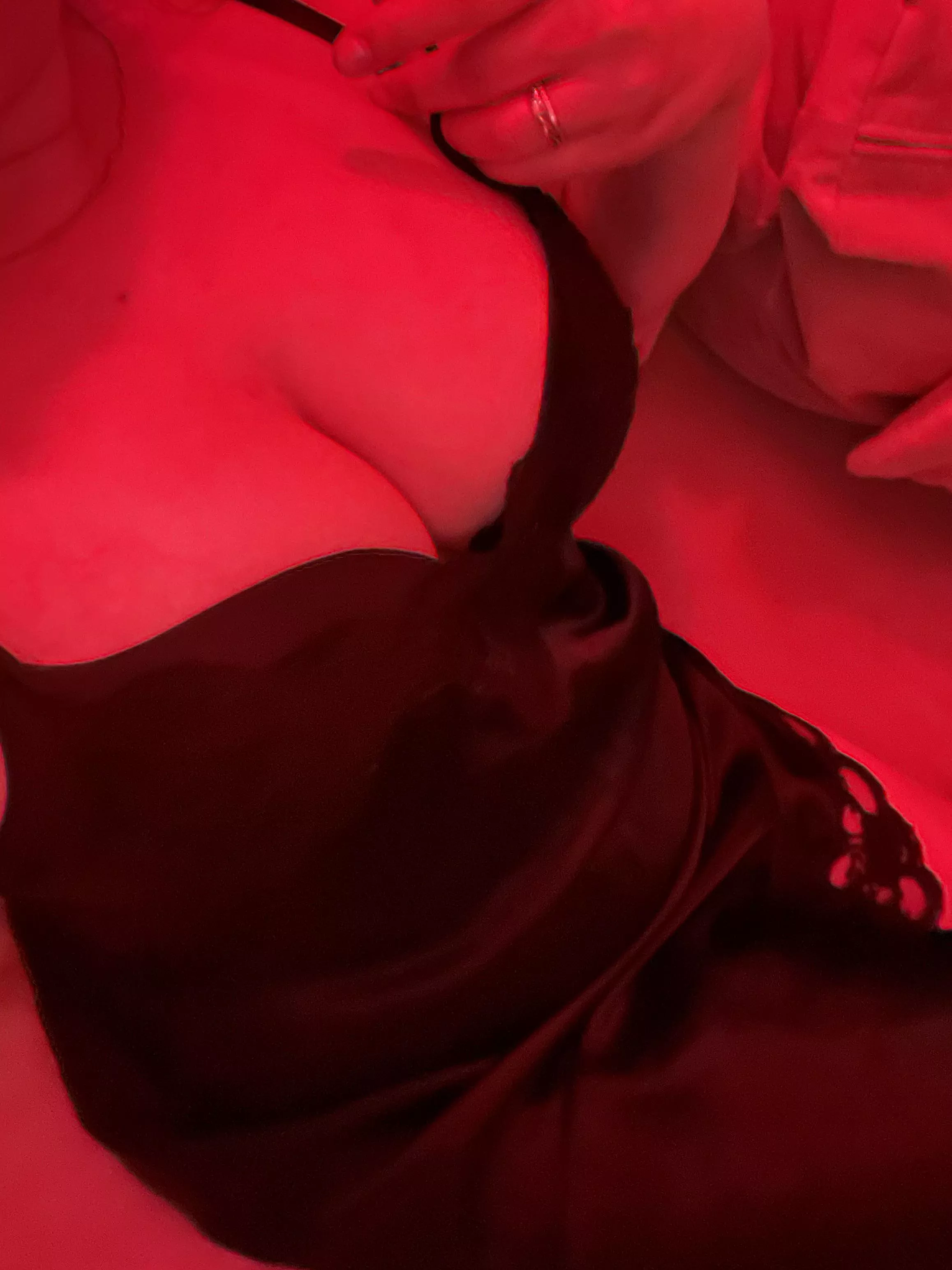 Hi(f) posted by AccumulativeFrick