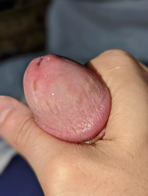 Hii. DMs open by JizzJules