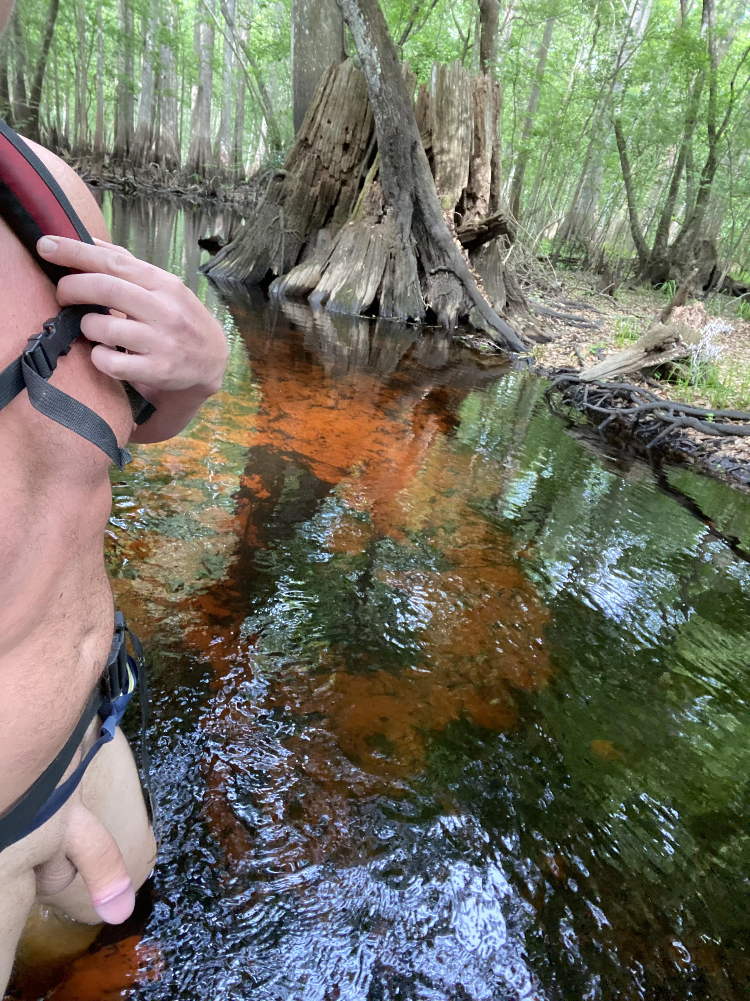 Hiking through the swamp (m) posted by nofloexplorer