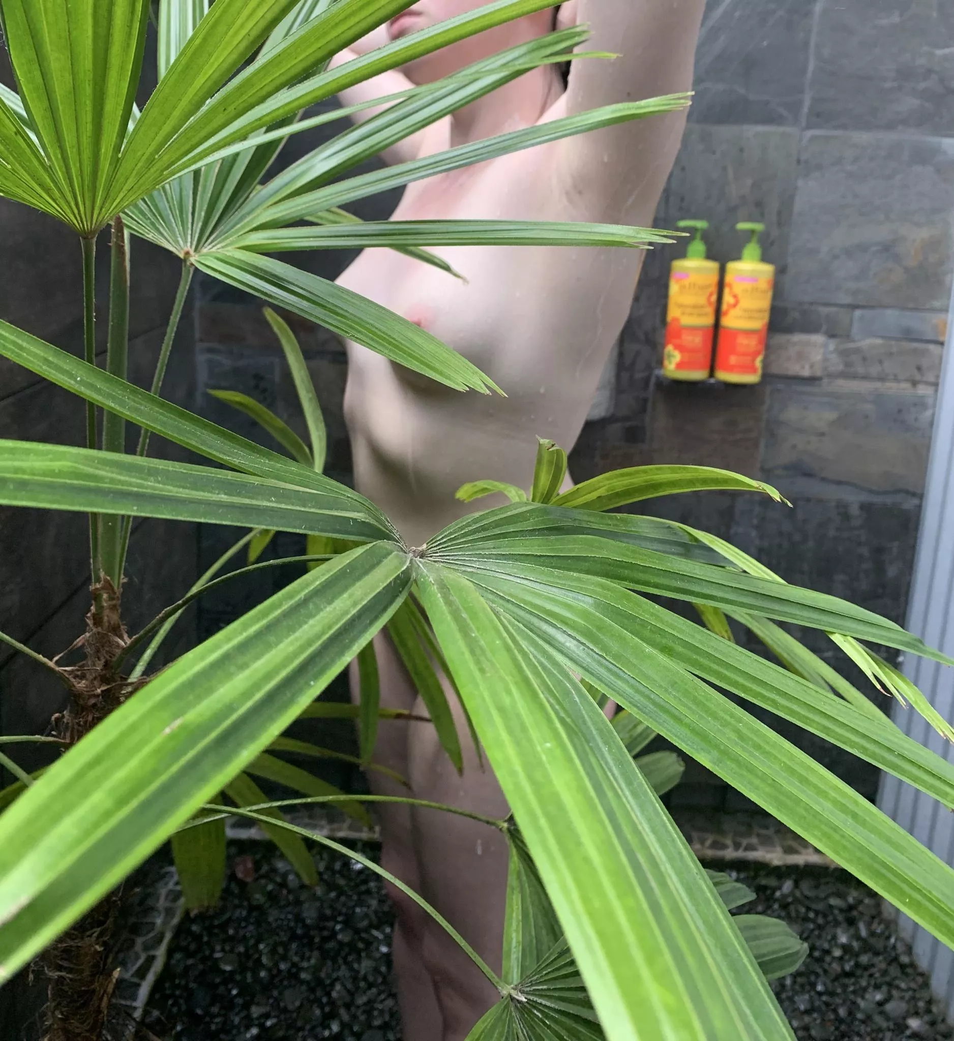 Hilo, Hawaii posted by Feeling_Drink_6210