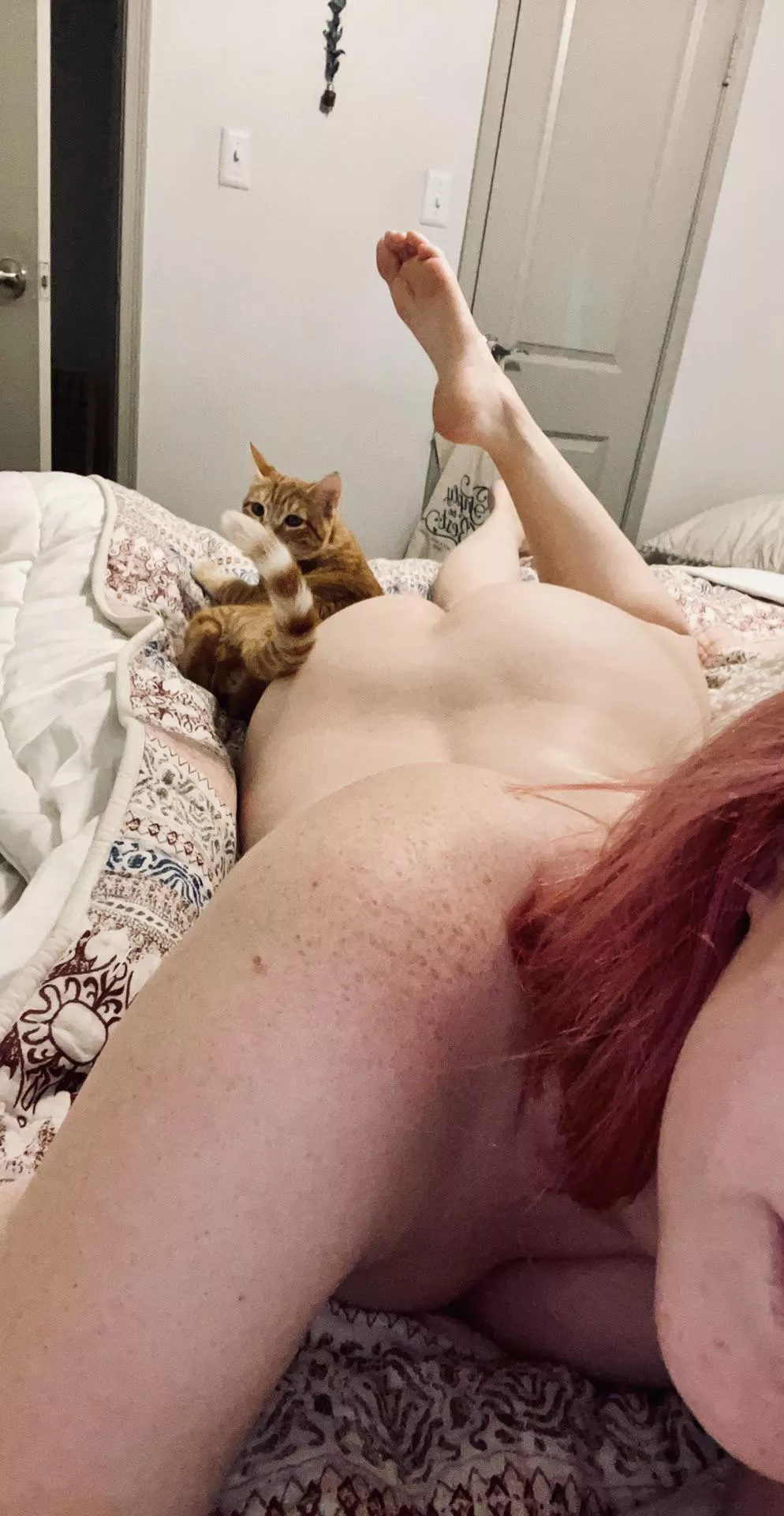 His favorite place to snuggle 😂 Always self conscious about my shoulder freckles tbh. posted by snildeep