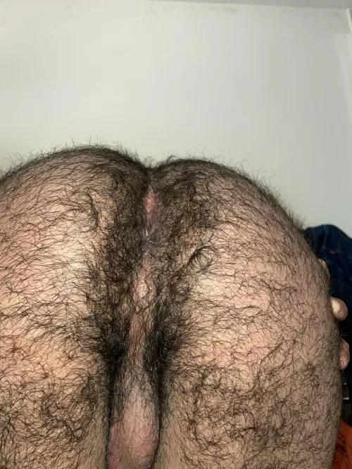 Hit it from the back by Gayfuckdoll