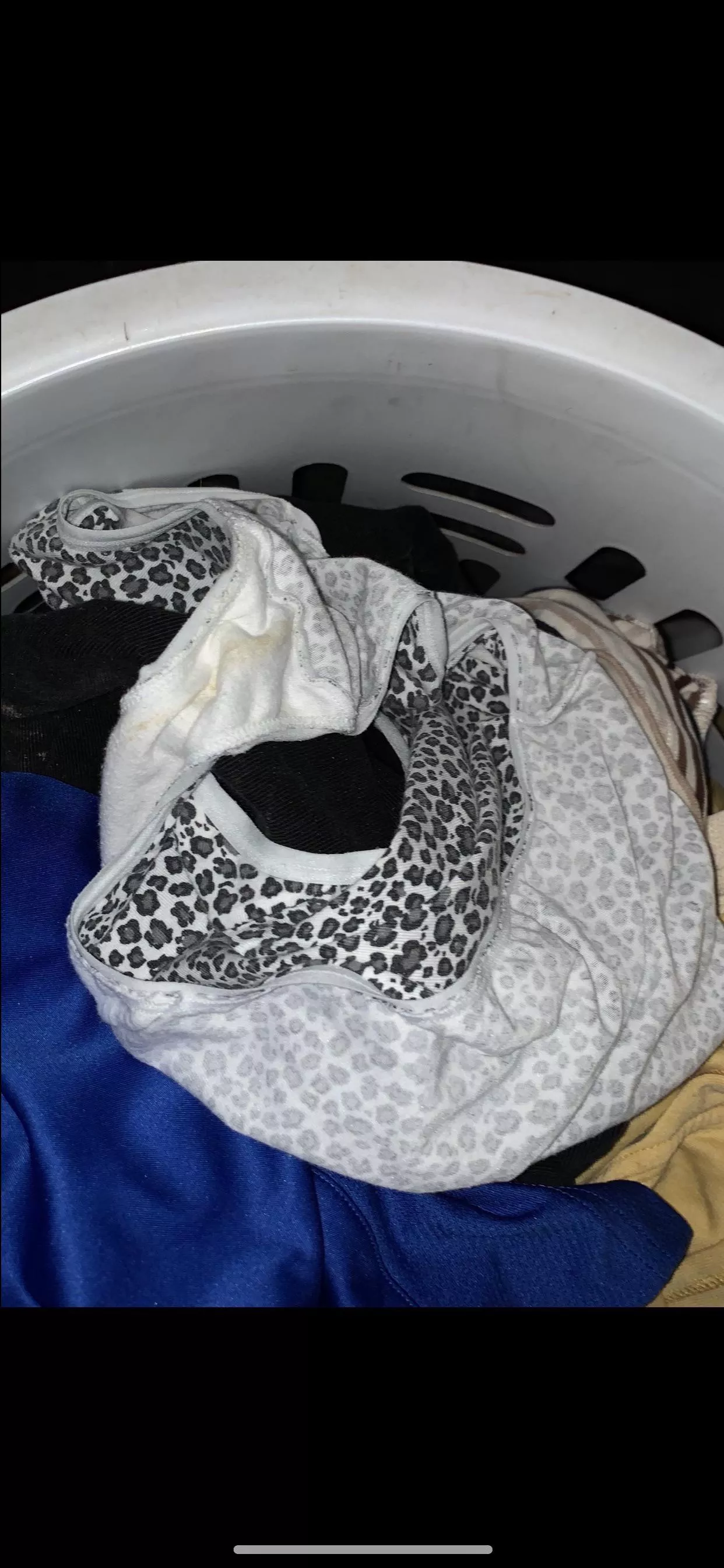 Hmu if you live with your mom or sister posted by Apprehensive-Tea9054