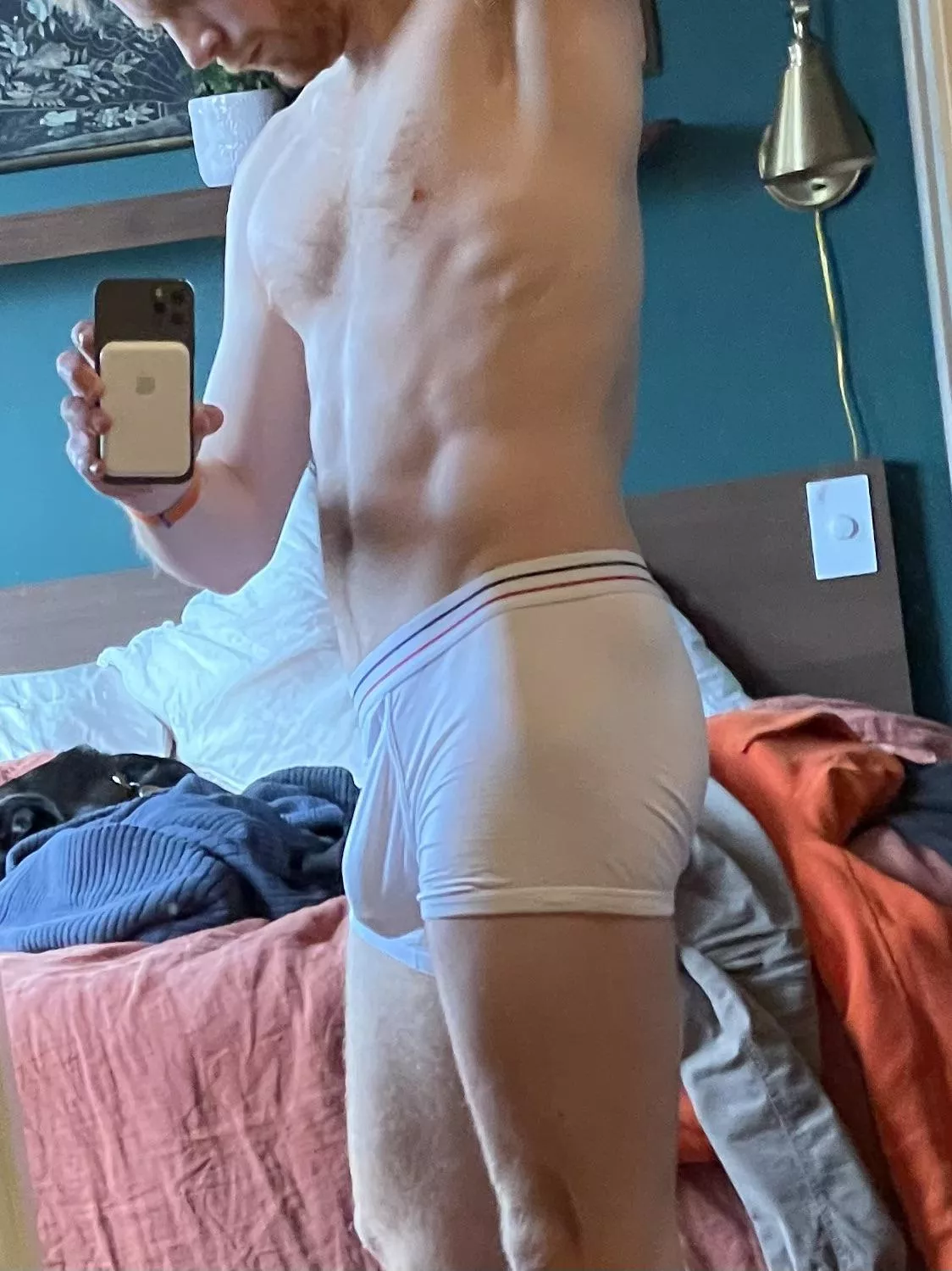 Holding everything together posted by macro_foundation8223