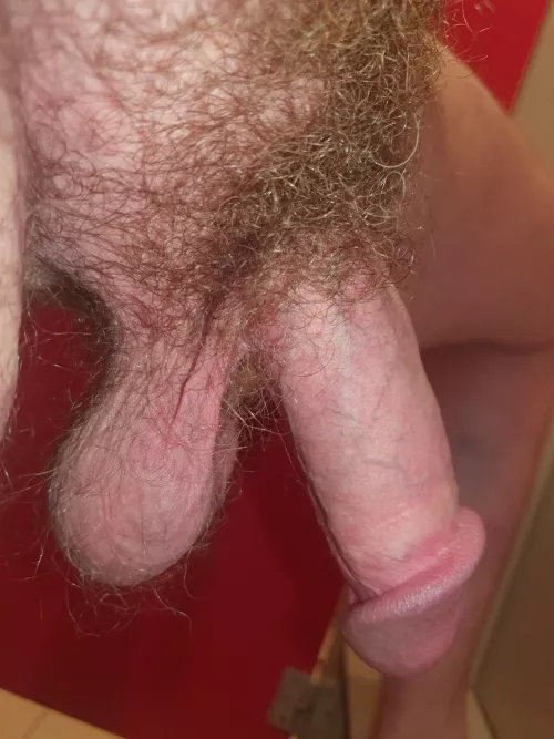 Holiday nearly over...wanted one last outting by Iamjustveryhorny