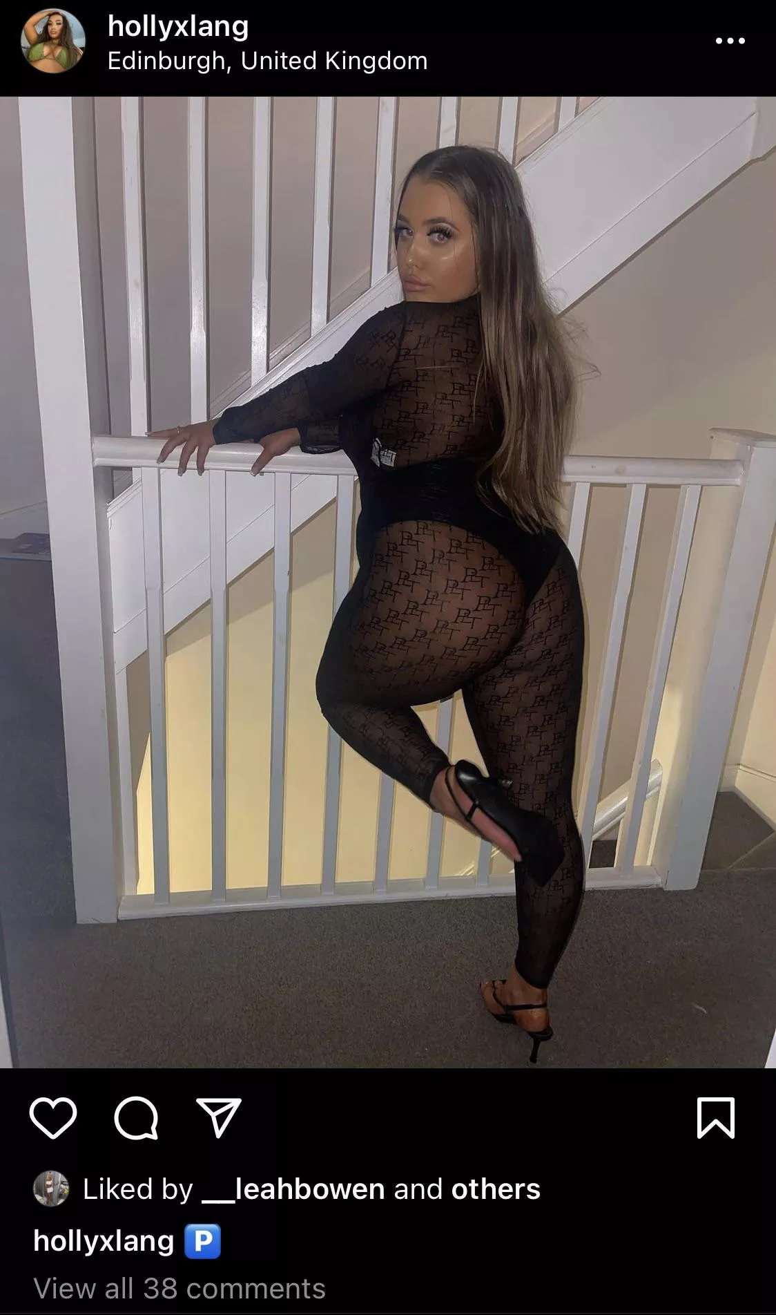 Holly posted by Plastic_Kiwi_3163