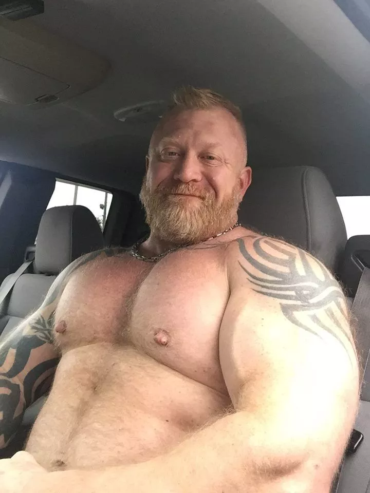 Hop in! posted by rainbowphase