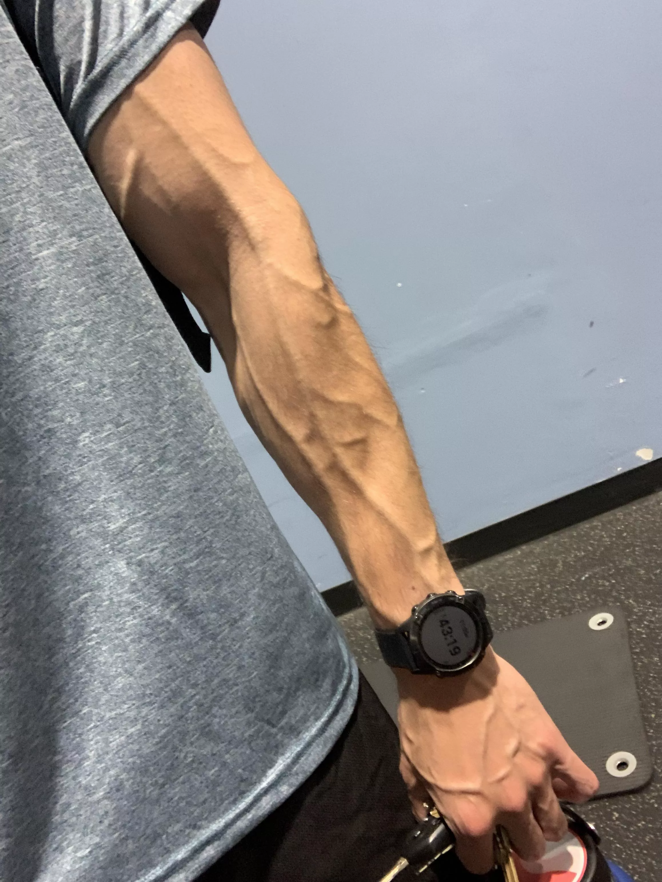 Hope this view doesn’t distract others from their workout posted by AcidicFitDick