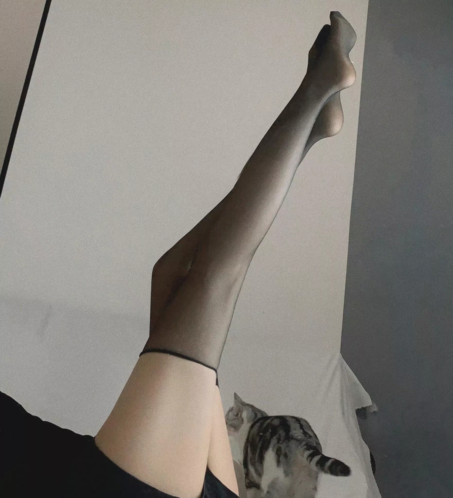hope u like my legs posted by renlel
