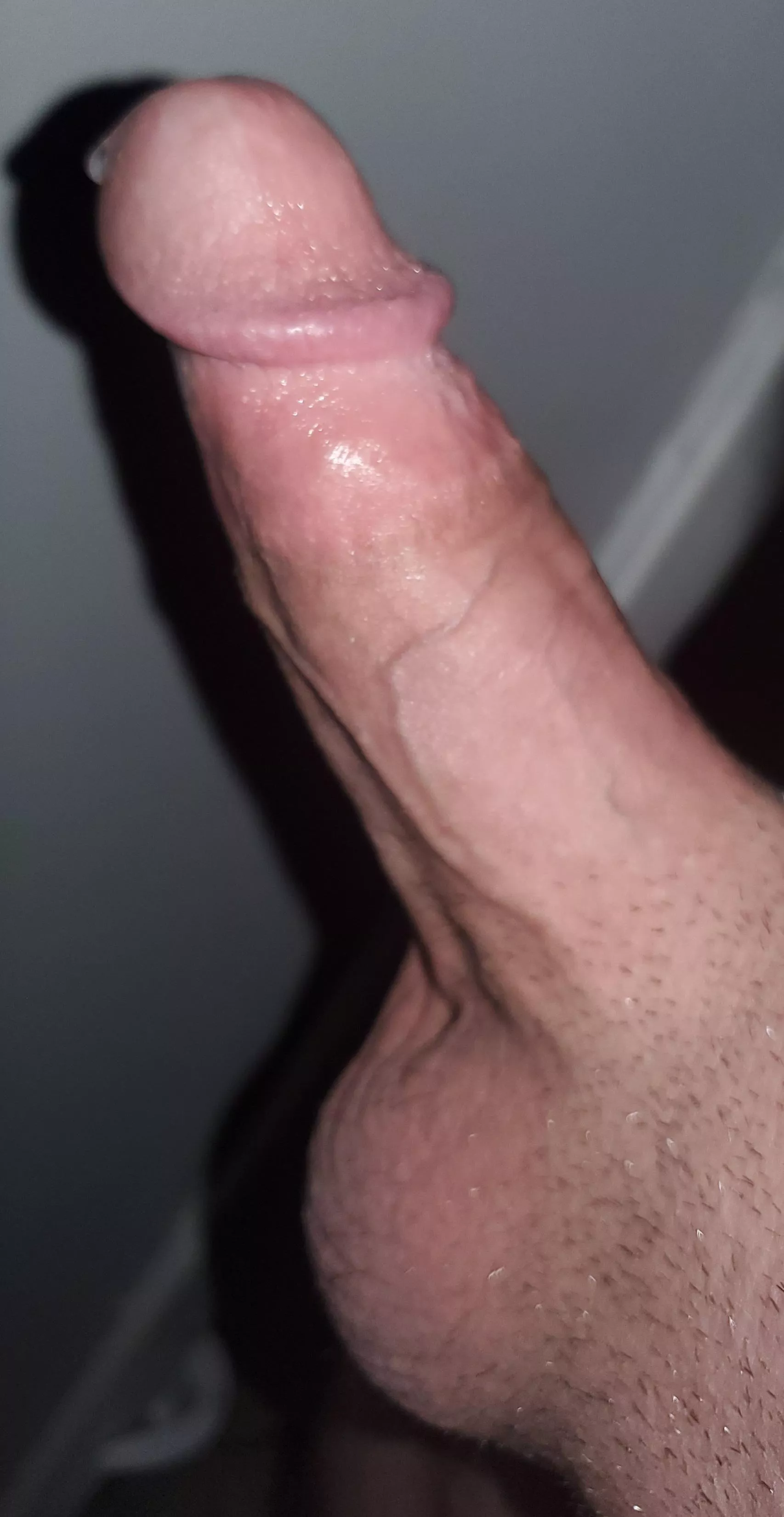 Hope you all enjoy a drunk dick pic! [27] posted by PM_ME_UR_TATTED_TITS