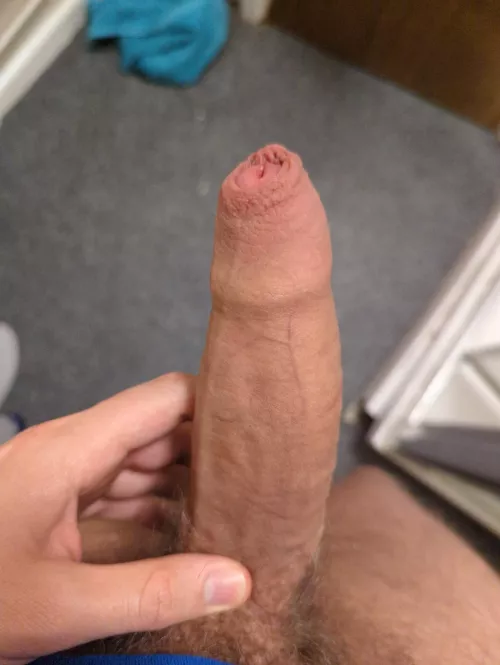 Hope you all enjoy by StrangeLookingKiwi