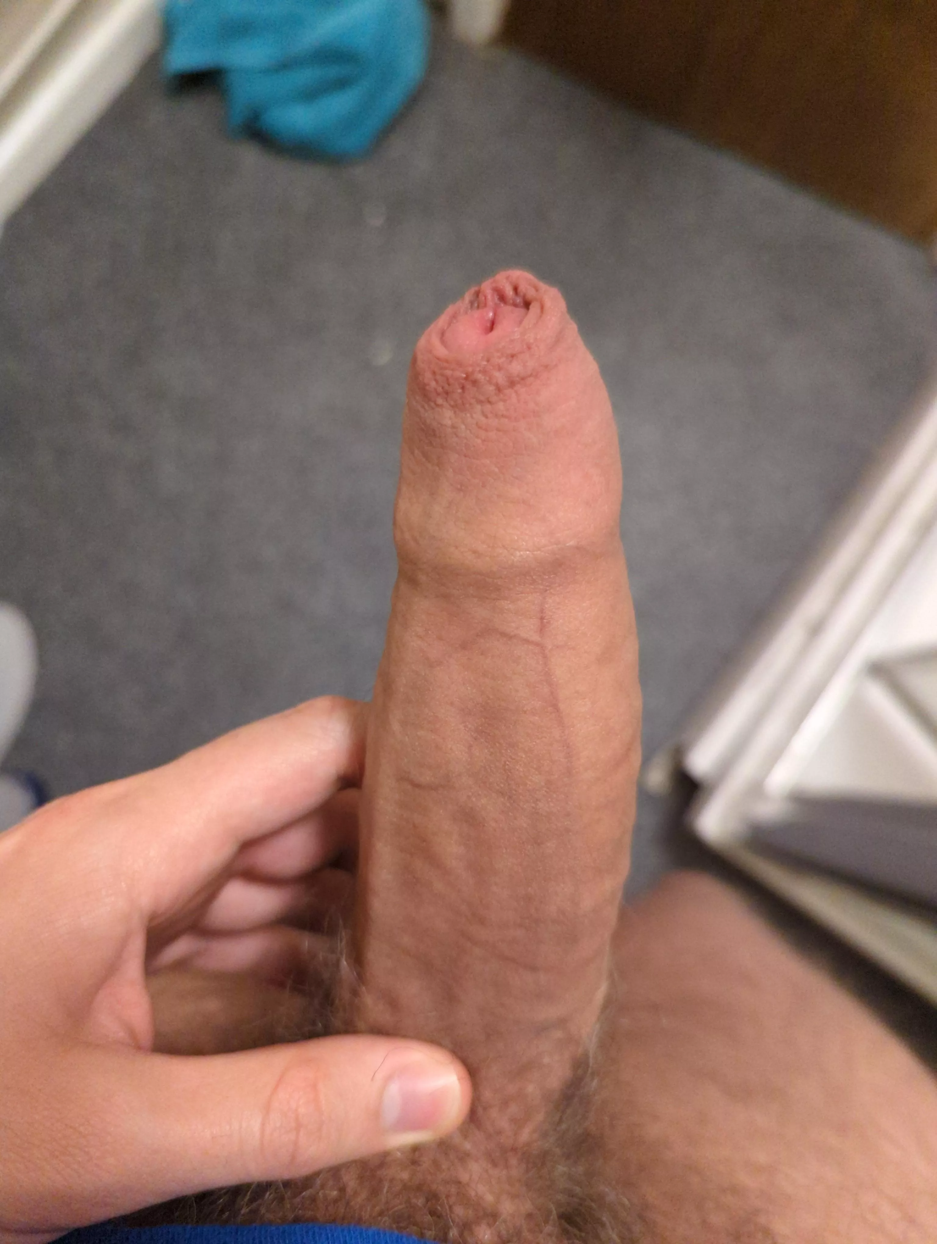 Hope you all enjoy posted by StrangeLookingKiwi