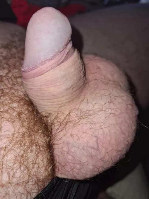 Hope you like my little ginger fella by MoreThanMyPPSize