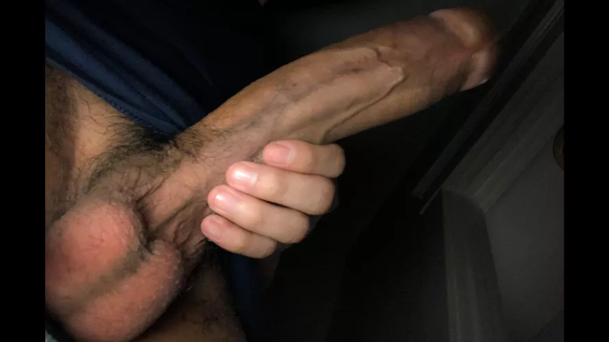 Hope You Like The View From Down There! by Appropriate-Knee-629