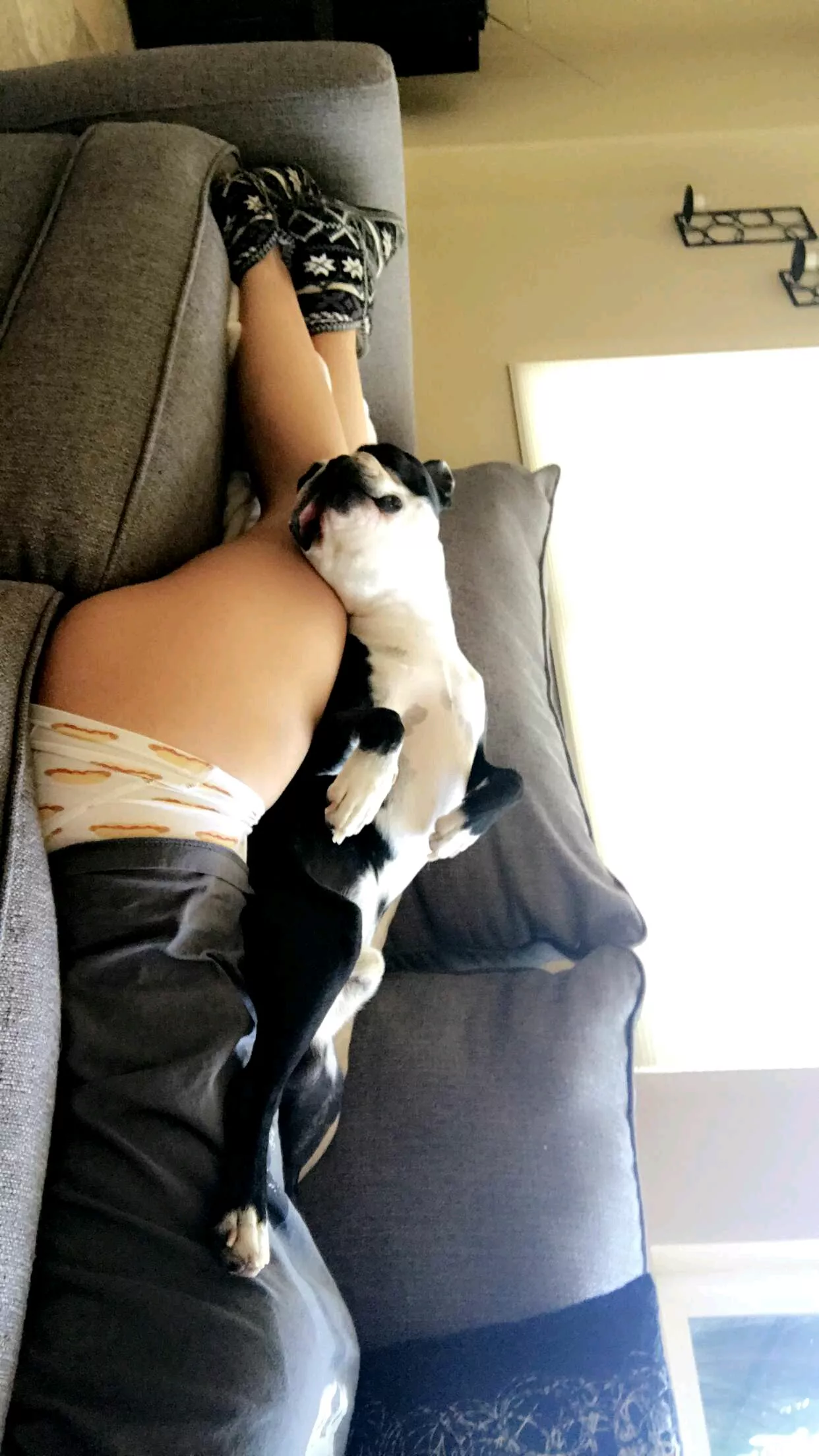 Hope you love Charlie😇 posted by BabyChloeXO