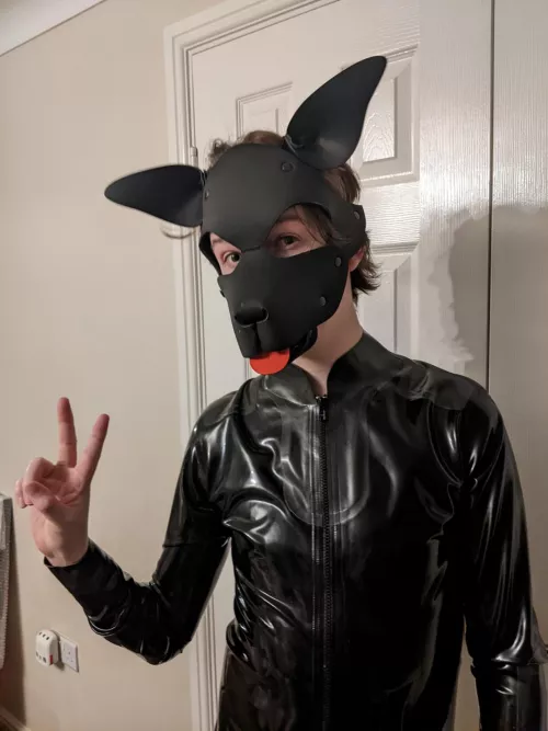 Hope you're all having a chill weekend pups :) [25M] by Power_5