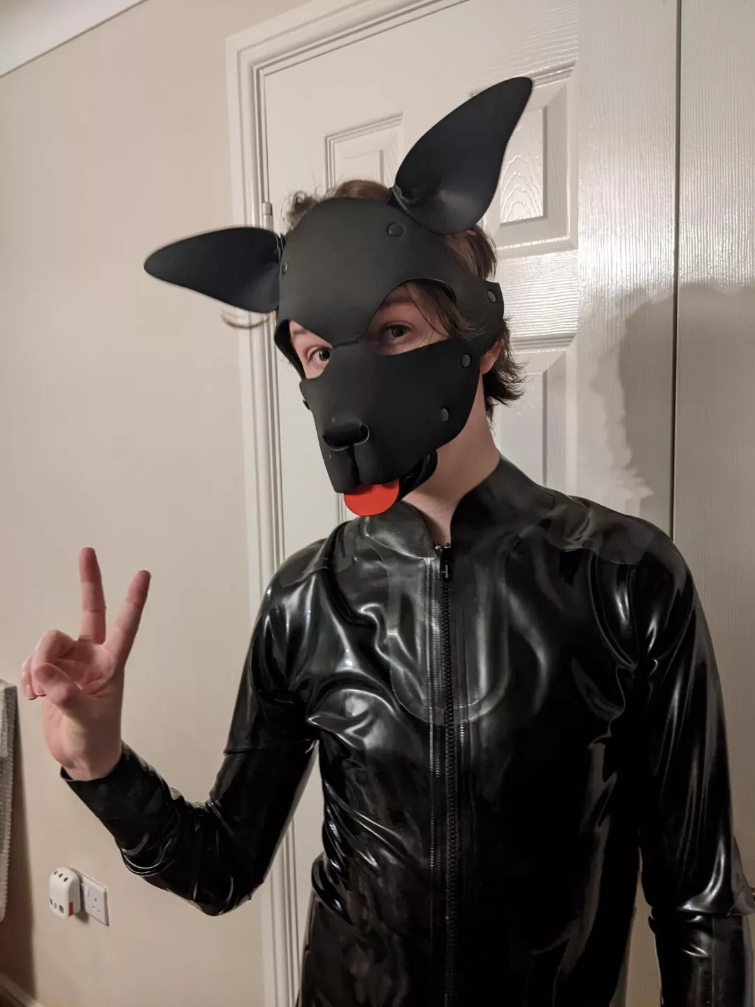 Hope you're all having a chill weekend pups :) [25M] posted by Power_5