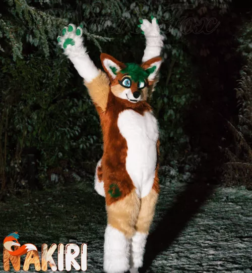 Hopefully the last winter themed picture in this month. 😉 Now it's time for easter pics. But i dont have any fluffy bunny furry friends 😟 by FurryFoxxyStream