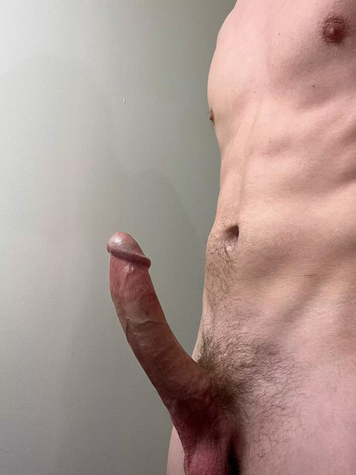 Horned bull🐂 posted by johnnysbannana