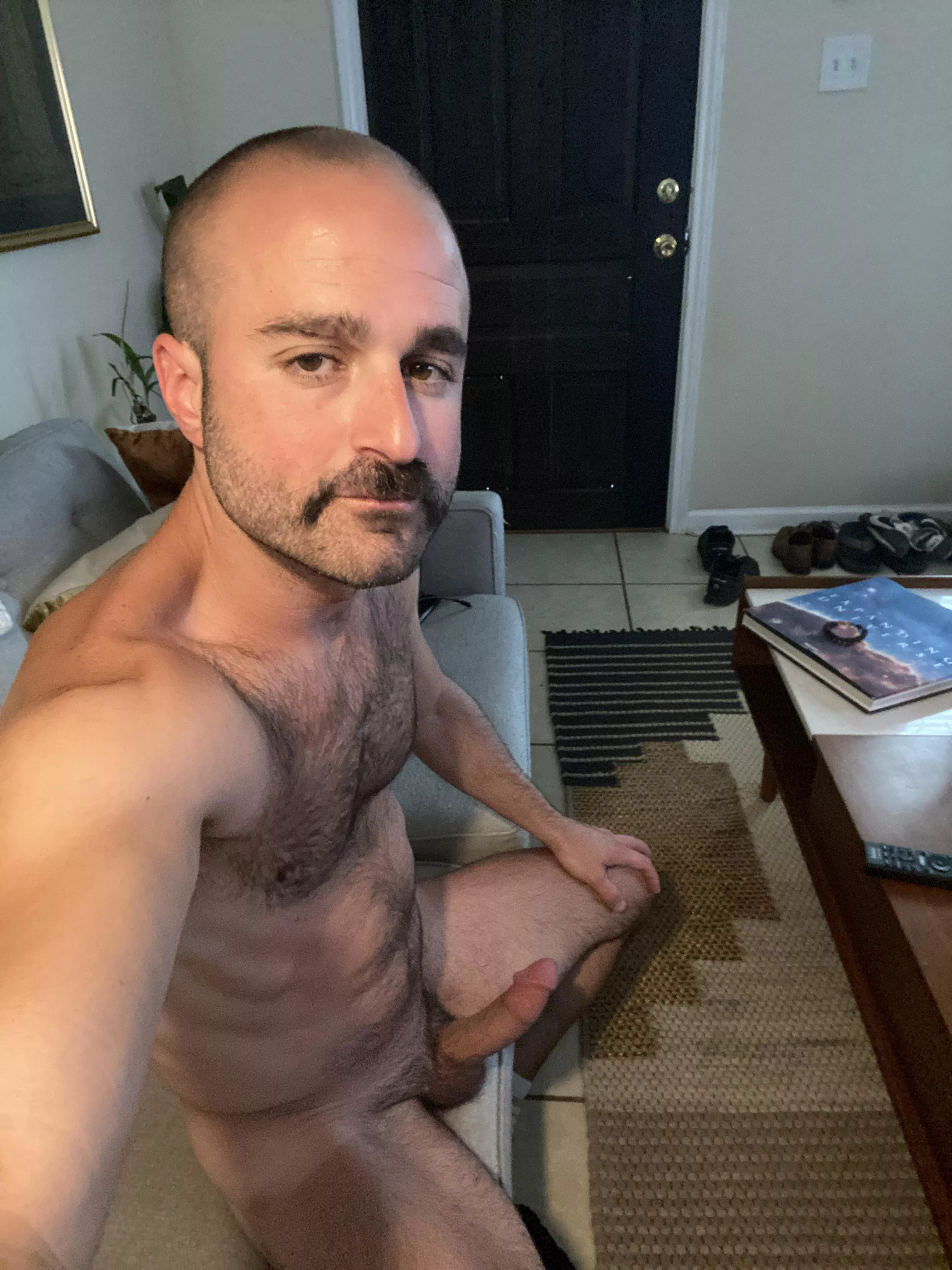 Horned up who wants to help [36] posted by 2400nola