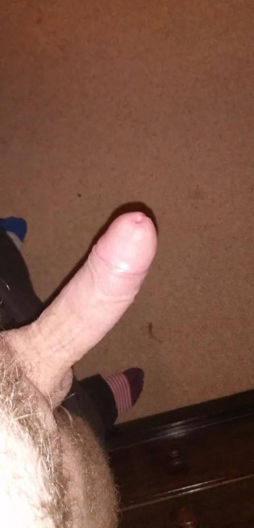 horny Brit. by mattjdbeattie