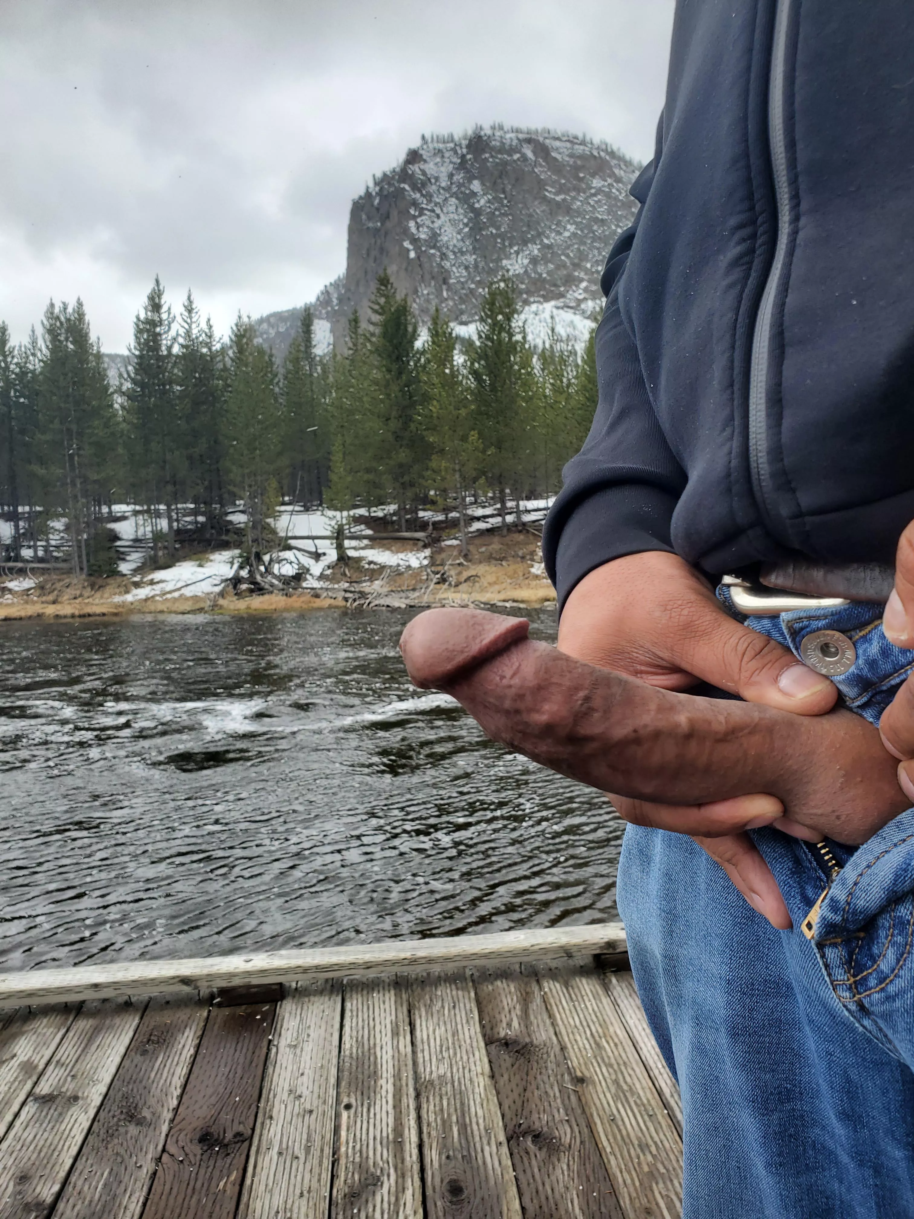 Horny in a National Park. posted by Phlip037