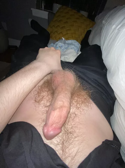 horny tn by No-Conflict-201