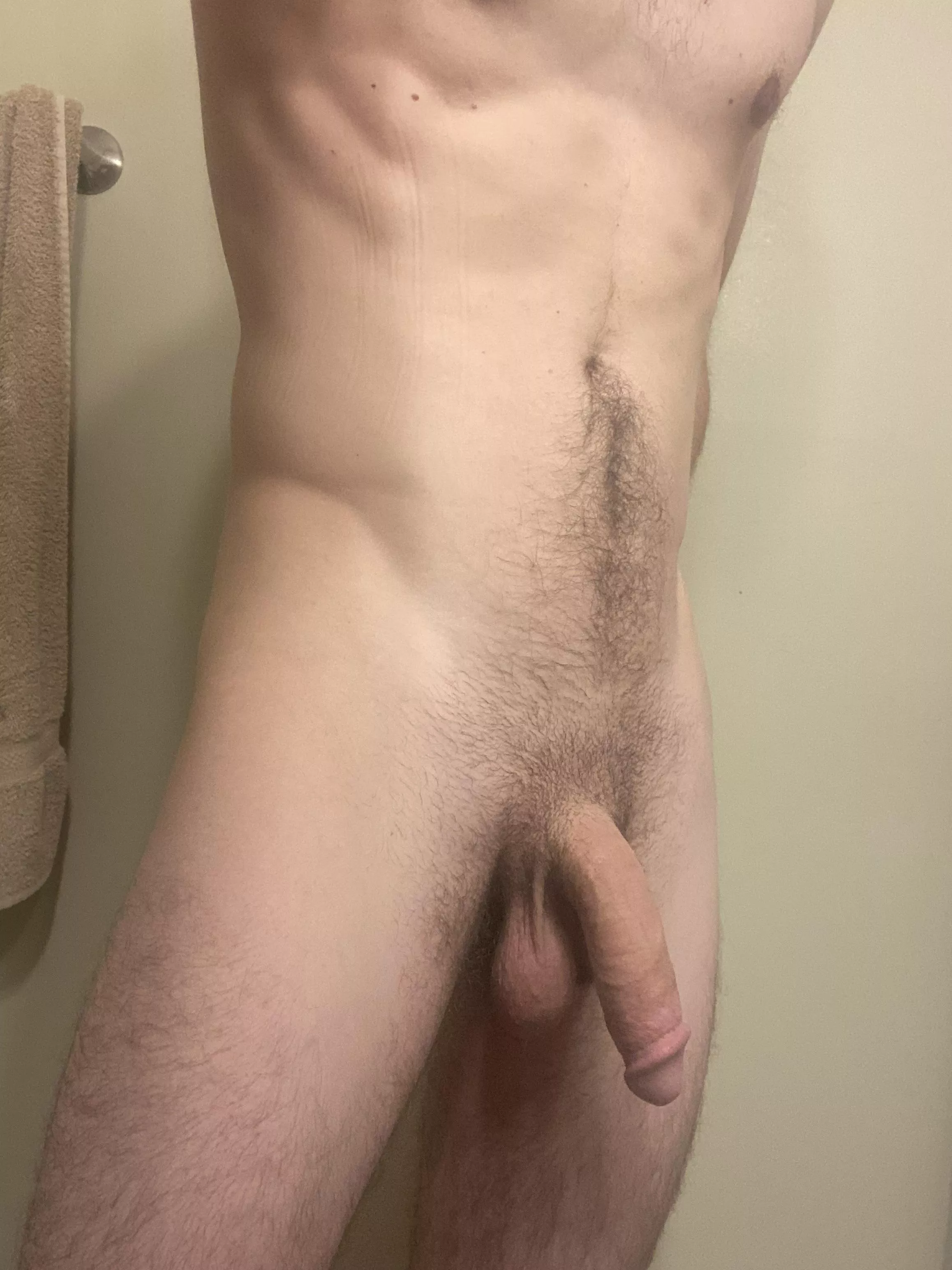 Horse cock posted by osah3